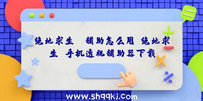 绝地求生bl辅助怎么用、绝地求生